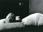 David Lynch